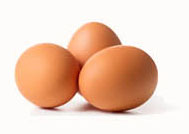 eggs